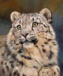 Snow Leopard 6 | Obraz na stenu