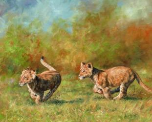 Lion Cubs Running | Obraz na stenu