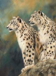 Snow Leopard's Rock | Obraz na stenu