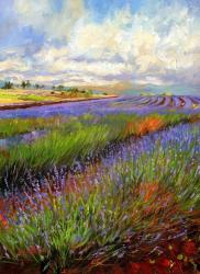 Lavender Field | Obraz na stenu