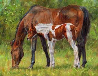 Horse And Foal Grazing | Obraz na stenu