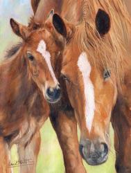 Horse And Foal | Obraz na stenu