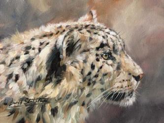 Snow Leopard 86 | Obraz na stenu