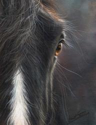 Horse Portrait | Obraz na stenu