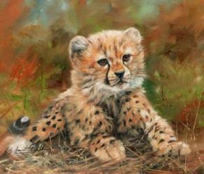 Cheetah Cub Laying Down | Obraz na stenu