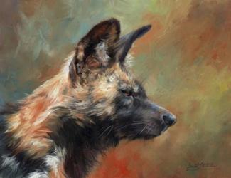 Wild Dog Portrait | Obraz na stenu