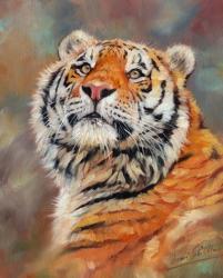Smiling Tiger | Obraz na stenu