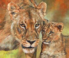 Lioness And Cub | Obraz na stenu