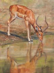 Kudu Reflections | Obraz na stenu
