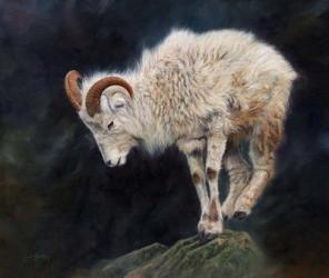 Mountain Goat | Obraz na stenu