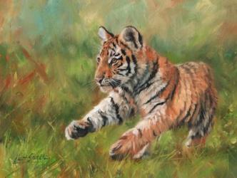 Tiger Cub Running | Obraz na stenu