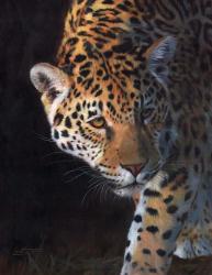 Jaguar Portrait 2 | Obraz na stenu