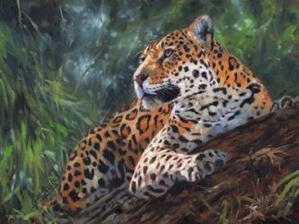 Jaguar In Tree | Obraz na stenu