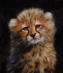 Cheetah Cub | Obraz na stenu