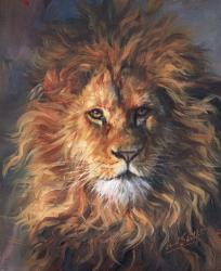 Lion Portrait | Obraz na stenu