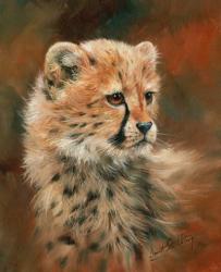 Cheetah Cub Portrait | Obraz na stenu