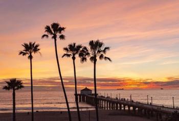 Sunset & Palms | Obraz na stenu