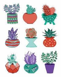 Succulents | Obraz na stenu