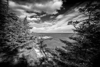 Autumn Afternoon At West Quoddy Head | Obraz na stenu