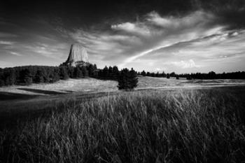 Devils Tower Black & White | Obraz na stenu