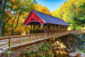 Autumn in Flume Gorge | Obraz na stenu