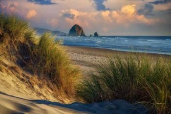 Evening on Cannon Beach | Obraz na stenu