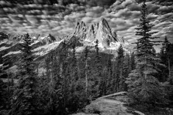 The Liberty Bell B&W | Obraz na stenu