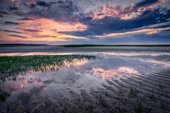 Paines Creek Reflections II | Obraz na stenu