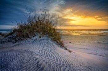 Sunrise in the Outer Banks | Obraz na stenu