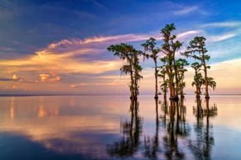 Dusk on Lake Maurepas | Obraz na stenu