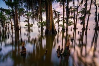 Maurepas Morning | Obraz na stenu