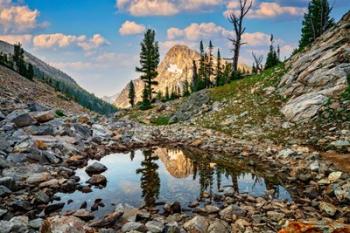 Mount Regan Reflection | Obraz na stenu