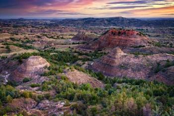 Painted Canyon at Dawn | Obraz na stenu