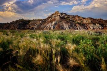 Summer Evening in the Badlands | Obraz na stenu