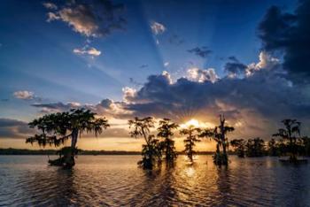 Sunset on Lake Martin | Obraz na stenu