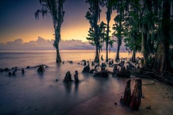 The Shore of Lake Pontchartrain | Obraz na stenu