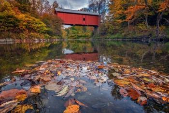 Autumn at Slaughter House Bridge | Obraz na stenu