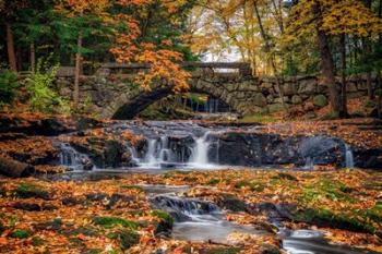 Autumn at the Stone Bridge | Obraz na stenu