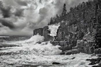 Noreaster at Otter Cliff | Obraz na stenu