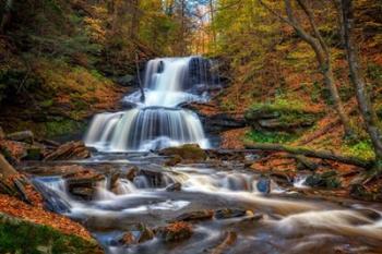 Tuscarora Falls | Obraz na stenu