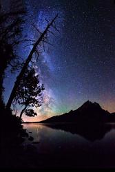 Stars over Jenny Lake | Obraz na stenu