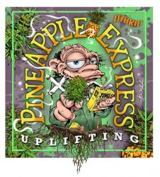 Pineapple Express | Obraz na stenu