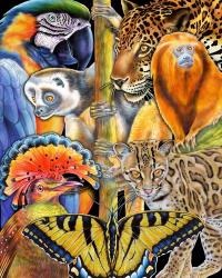 Collage Rainforest Animals | Obraz na stenu