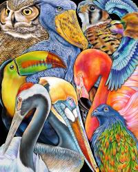 Collage Birds | Obraz na stenu