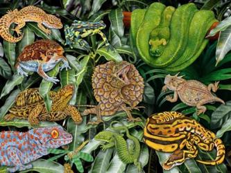 Reptile & Amphibians | Obraz na stenu