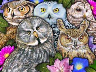 Owls | Obraz na stenu