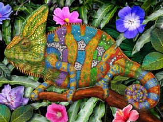 Veiled Chameleon Rainbow | Obraz na stenu