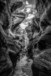 Slot Canyon Utah 11 Black & White | Obraz na stenu