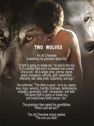 Two Wolves | Obraz na stenu