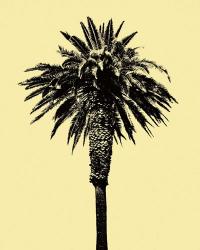 Palm Tree 1996 (Yellow) | Obraz na stenu